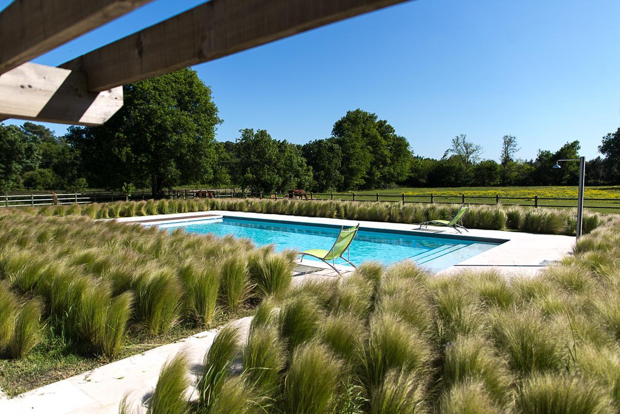 Les Cinq Sens Du Chateau Mayne Lalande Hotel Castelnau-de-Médoc Exterior foto